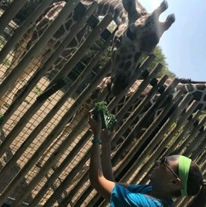 Meet your Posher, Samantha